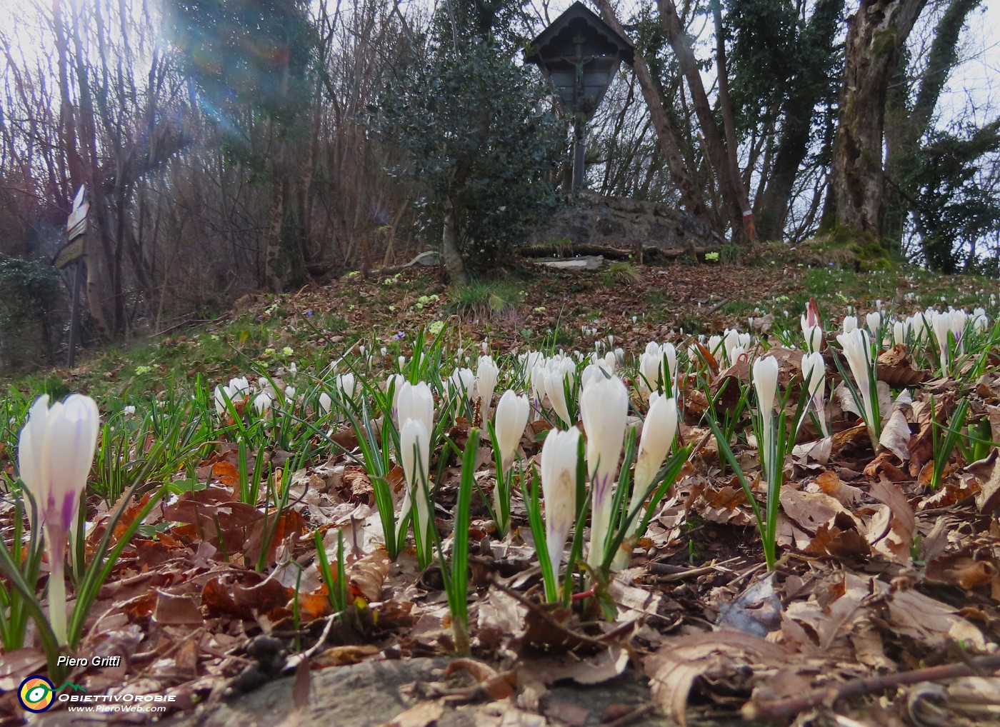 45 Roccolo della Passata (728 m).JPG